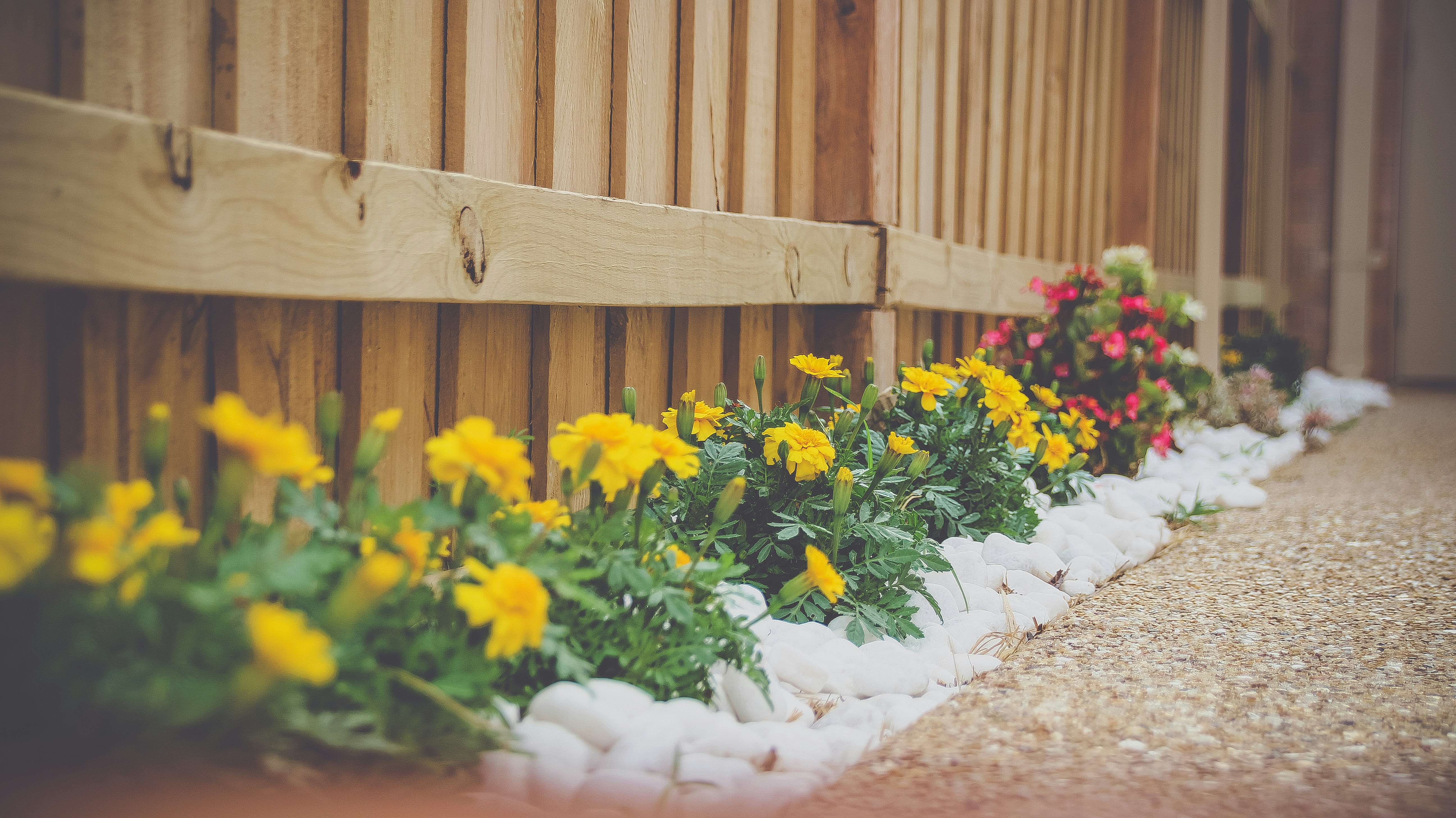 Beautiful flowerbed landscaping